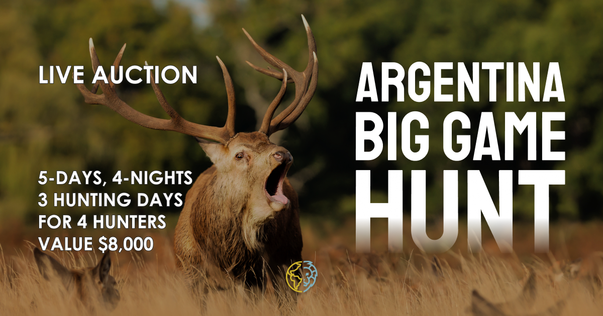 Facebook Live Auction Argentina Gig Game Hunt