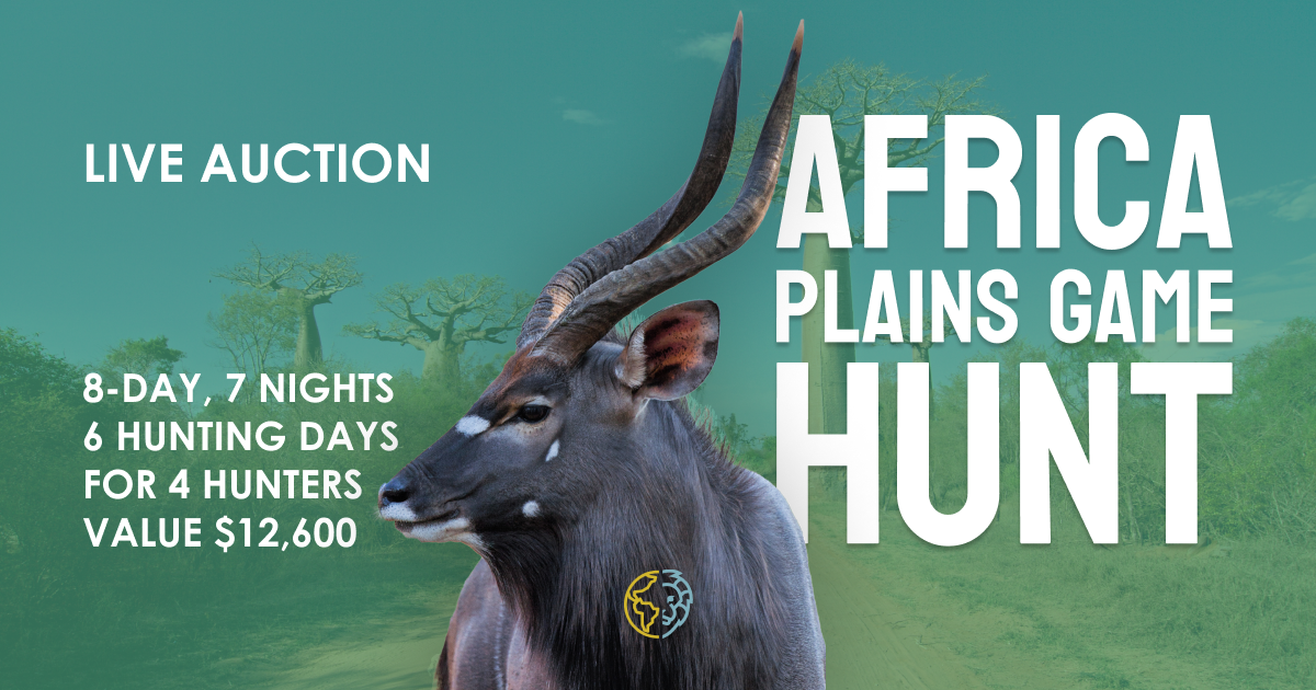Shout-Africa Facebook Live Auction Africa Hunt